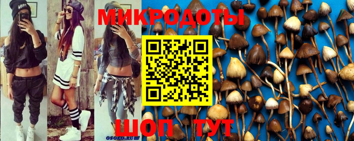 Псилоцибиновые грибы Psilocybe  Вход с VPN  Черняховск  Галлюциногенные грибы Cubensis 